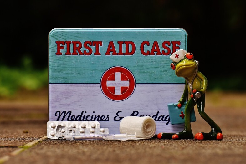 żabka i apteczka pierwszej pomocy